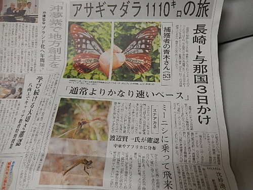アサギマダラのマーキング