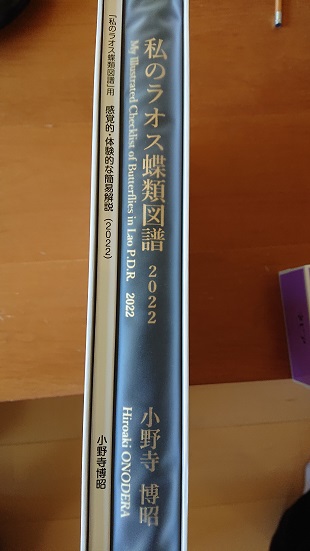 8月17日の記事