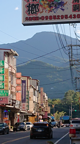 台湾採集