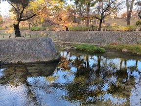 それは現実ではなく現象ですよ〜