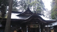 高千穂神社の夜神楽