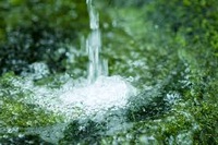 水への想い 2023/04/30 16:13:05