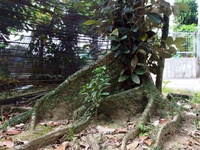 週末に向けて（^人^）