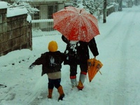 雪かぁ 2016/01/18 16:52:08