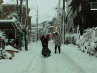 寒気がやって来ています。 2016/01/23 14:17:19