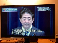 サギのミクス〜‼︎ 2016/06/01 21:26:14