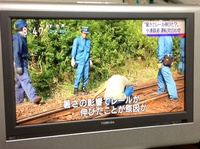 シニ暑いぞ〜‼︎ 2016/07/07 20:55:28