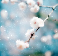 3.11   祈り 2013/03/11 14:22:51