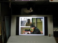 います。 2006/11/03 21:53:38