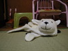 ひつじ 2007/05/20 21:05:00