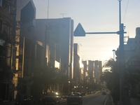 朝、国際通り 2009/08/01 23:15:00