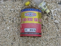 浜歩き② 2009/01/09 22:19:31