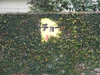 チョー 2009/05/06 21:10:00