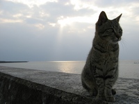 晴れろよ 2008/02/10 09:41:50