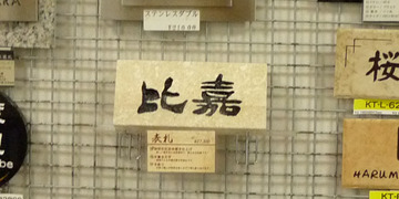 建築模型-Two Family House