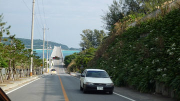 新案件・現場調査－Nago City