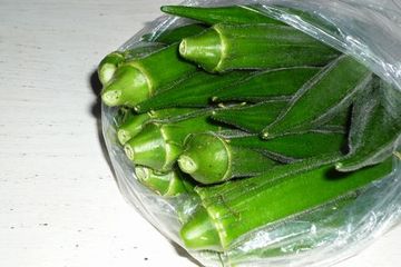 秋葵　「オクラ」
