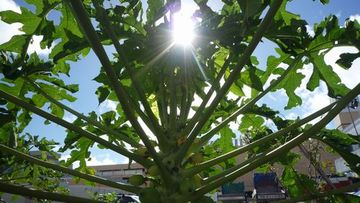 地盤調査【cafeへ変化する家】