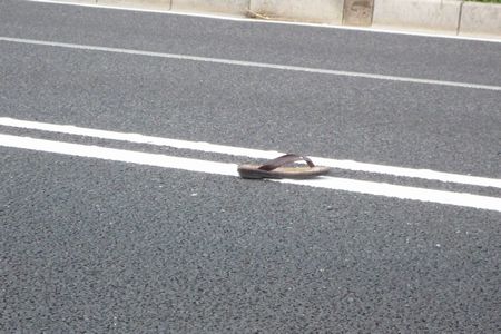 師走の慌ただしさの犠牲者！？