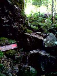 四万十川の源流(後半) 2006/07/25 21:45:00