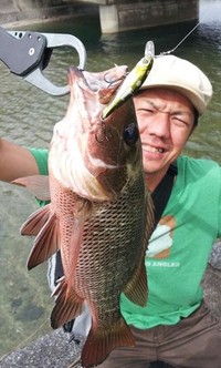 SHINノスケ RUN GUN 2012/04/12 19:43:25