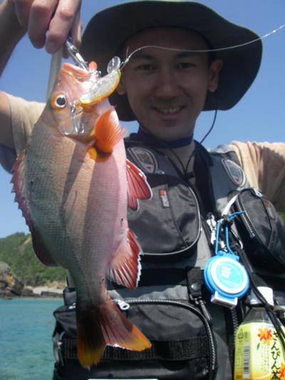 yanbaru survival w/ kota