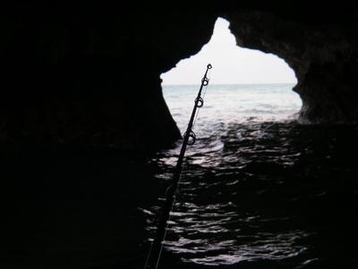 yanbaru field trip