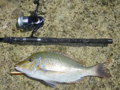 yanbaru fishing w/ Mr.朔太郎