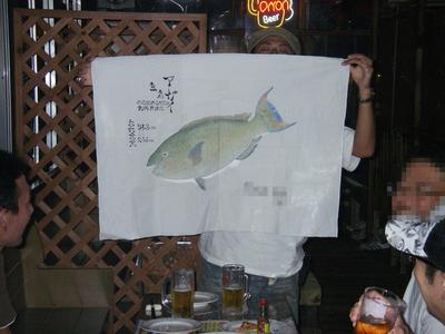 中部 ti-da blog anglers