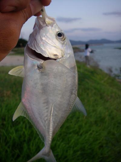 yanbaru fishing w/ Ms. ねこﾆｬﾝ　＆　Mr.ジンベー