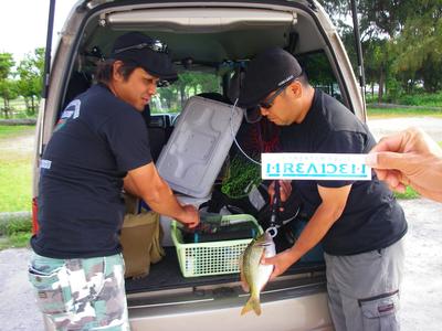 MREADEN tour