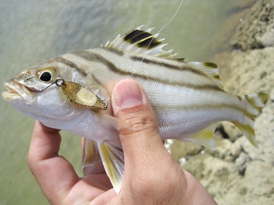 off fishing