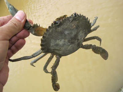 off fishing