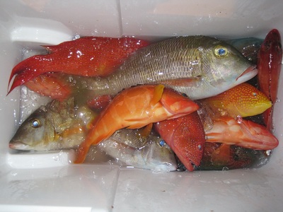 jigging 修行寺