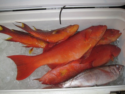 jigging 修行寺