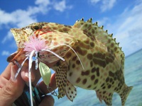 fishing vacation 2012/09/06 21:50:48