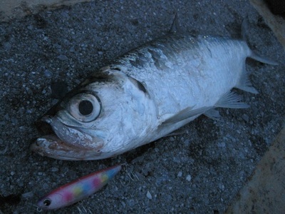 fishing vacation