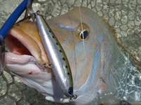 booyah!!! 2011/06/17 09:00:00