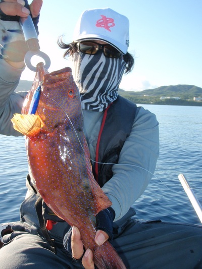 マイコ～jigging