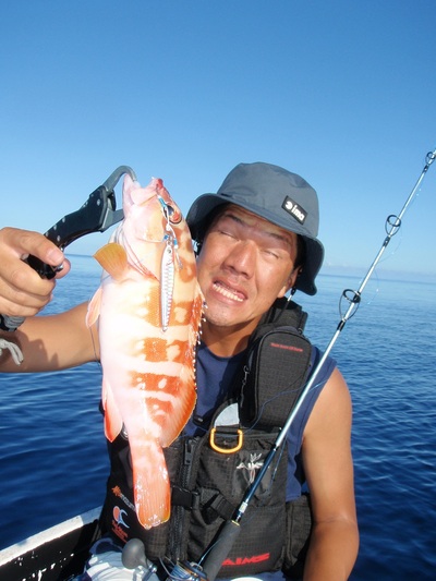 マイコ～jigging
