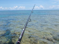 やっぱreef edging!!! 2011/08/03 19:25:27
