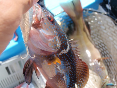 休暇 fishing