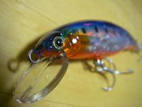 UK fishing