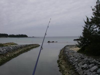 yanbaru fishing with Mr. SHO