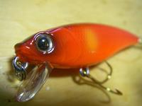 UK fishing