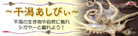 For C-gaya hunter 2011/10/26 10:00:00