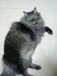 大切なものいっぱいだなぁ… 2006/04/20 20:53:00