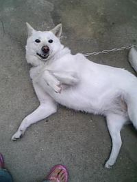 甘えた〜 2006/07/04 00:12:19