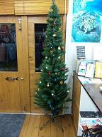 クリスマスの時期で～ 2009/12/08 18:44:35