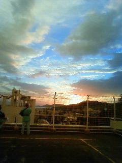 気持ちのいい朝だ ｍｉｊｙａの庭